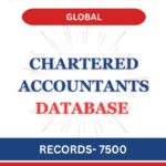 Chartered Accountant - Global