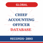 Chief Accounting Officer - Global