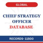 Chief Strategy Officer - Global