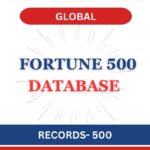 Fortune 500 Globally Companies Database