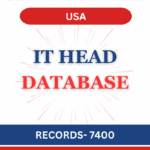 Information Technology Head - USA