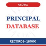 Principal - Global