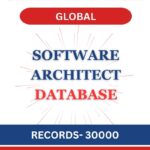 Software Architect - Global
