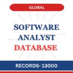 Software Analyst - Global