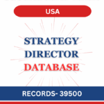 Strategy Director - USA