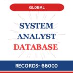 System Analyst - Global