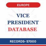 Vice President - Europe